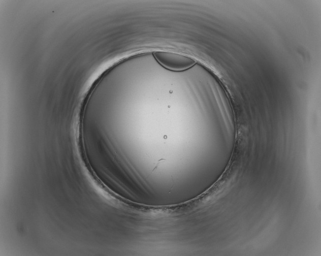 X0000113161523200909181800