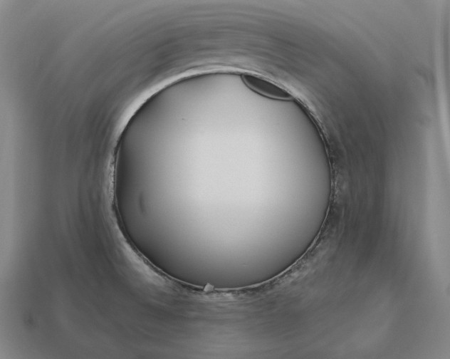 X0000113161524200909181800