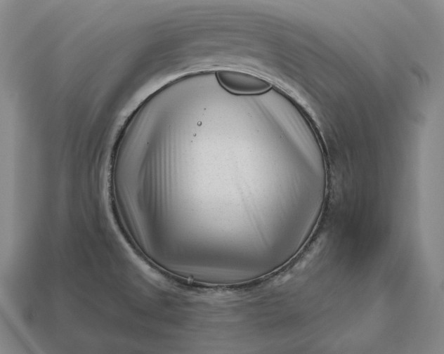 X0000113161525200909181800