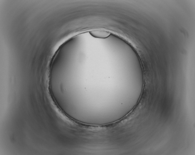 X0000113161526200909181800