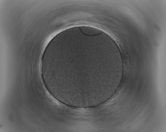 X0000113161527200909181800