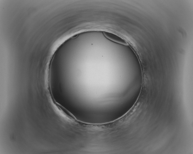 X0000113161528200909181800