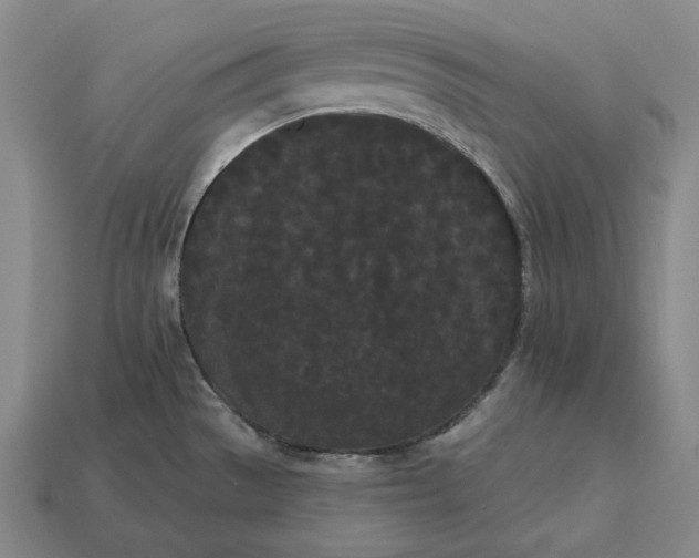 X0000113161529200909181800