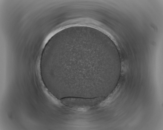 X0000113161530200909181800