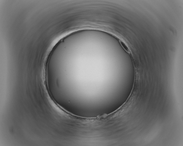 X0000113161531200909181800