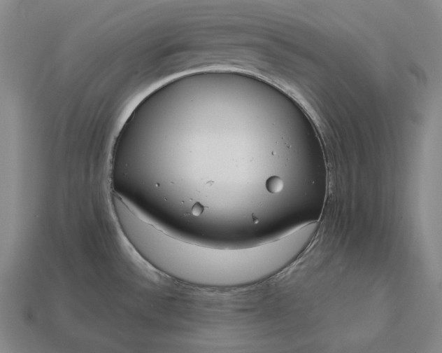 X0000113161532200909181800