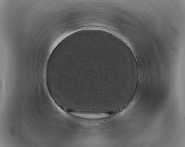 X0000113161533200909181800