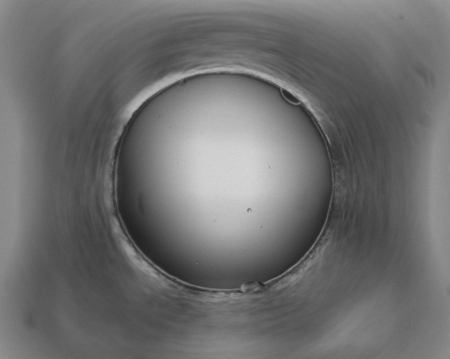 X0000113161534200909181800