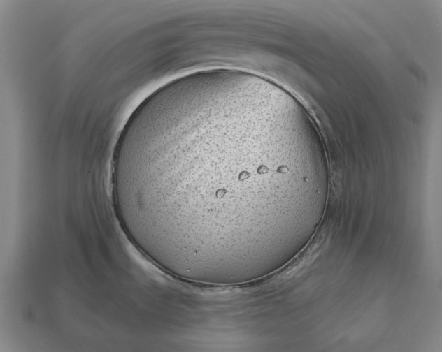 X0000113161535200909181801