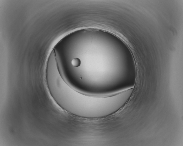 X0000113161536200909181801