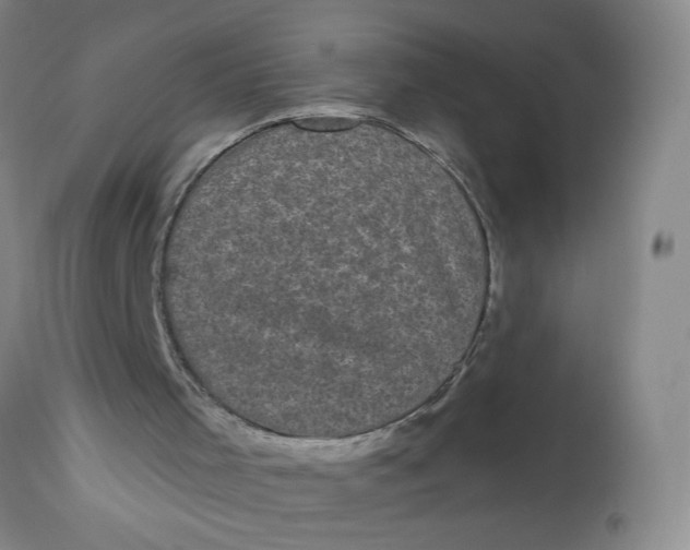 X0000113160001200909251404