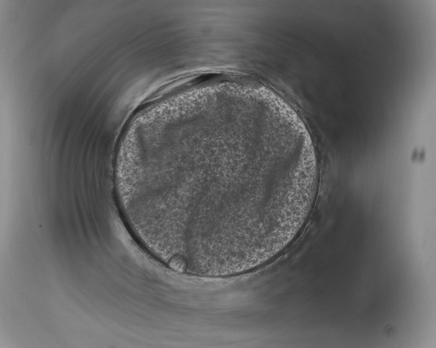 X0000113160002200909251404