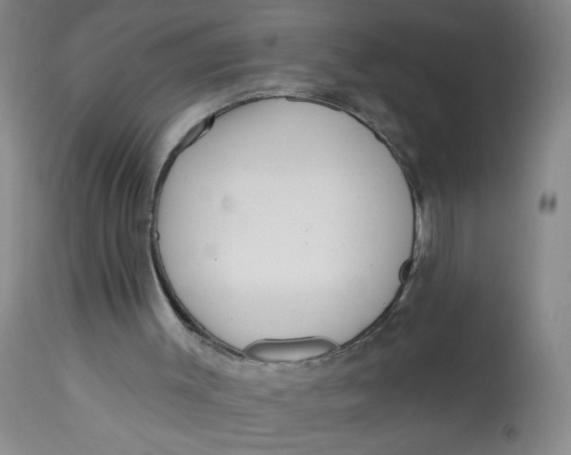 X0000113160003200909251404