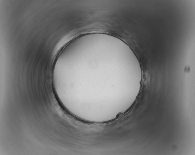 X0000113160004200909251404