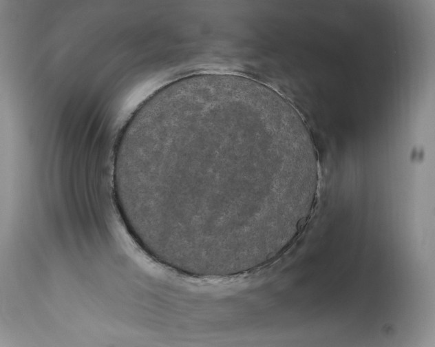 X0000113160005200909251404