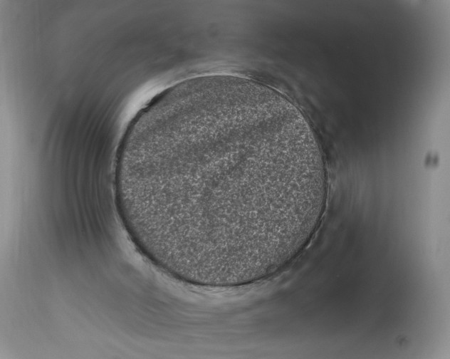 X0000113160006200909251404