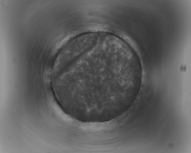 X0000113160009200909251404