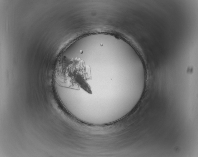 X0000113160010200909251404