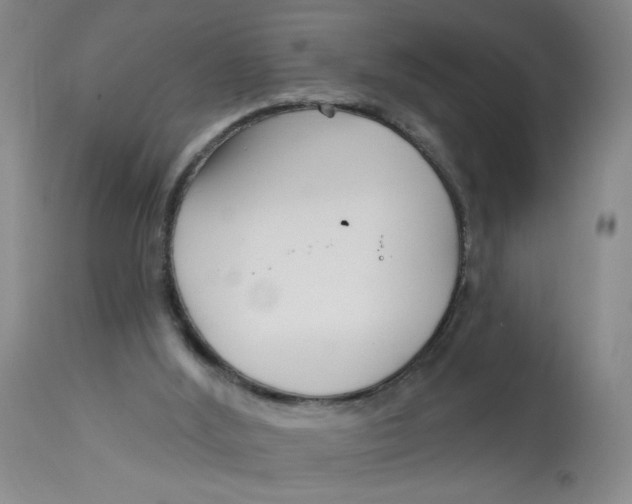 X0000113160012200909251404