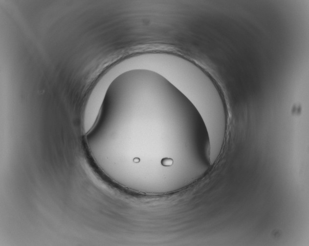 X0000113160013200909251404