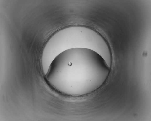 X0000113160017200909251404