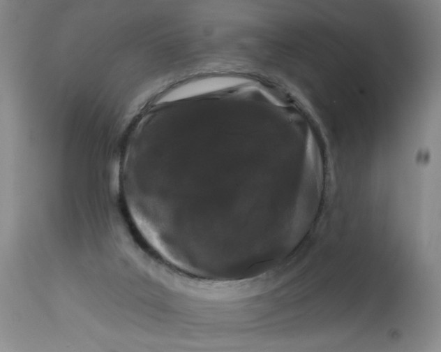 X0000113160019200909251404