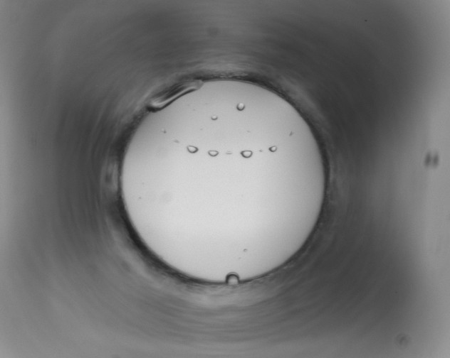 X0000113160021200909251404