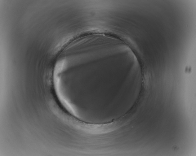 X0000113160023200909251404