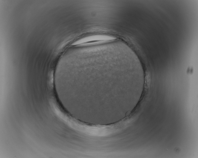 X0000113160024200909251404