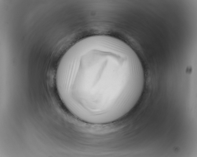 X0000113160026200909251404