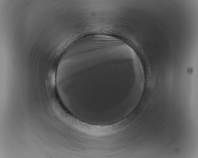 X0000113160027200909251404