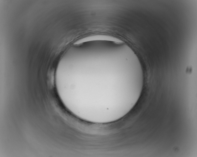 X0000113160028200909251404