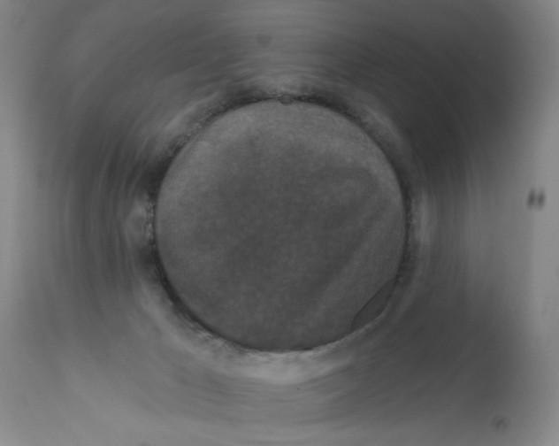 X0000113160029200909251404