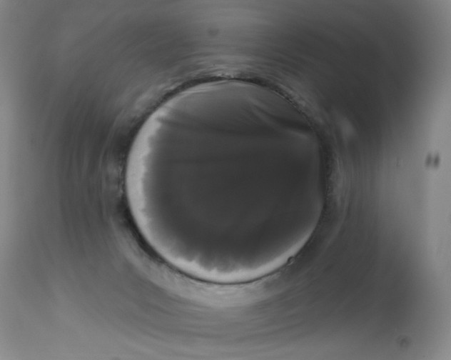 X0000113160031200909251404