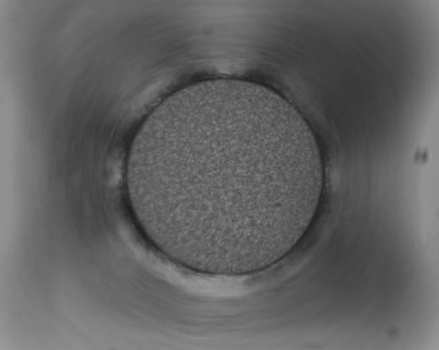 X0000113160032200909251404