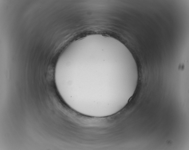 X0000113160036200909251404