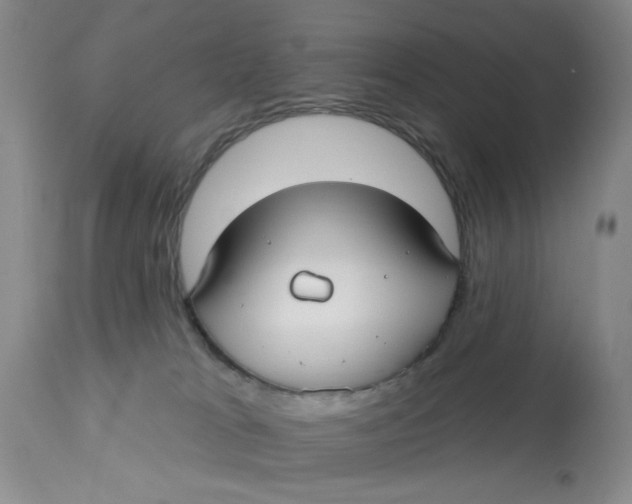 X0000113160037200909251404