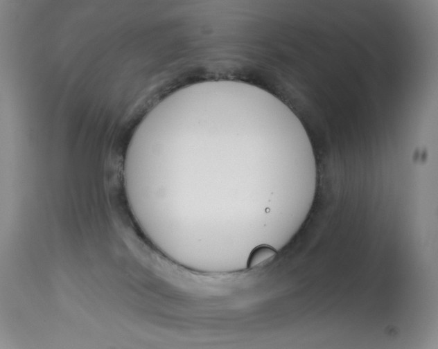 X0000113160038200909251404