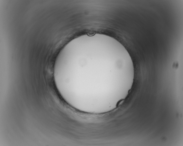 X0000113160040200909251404