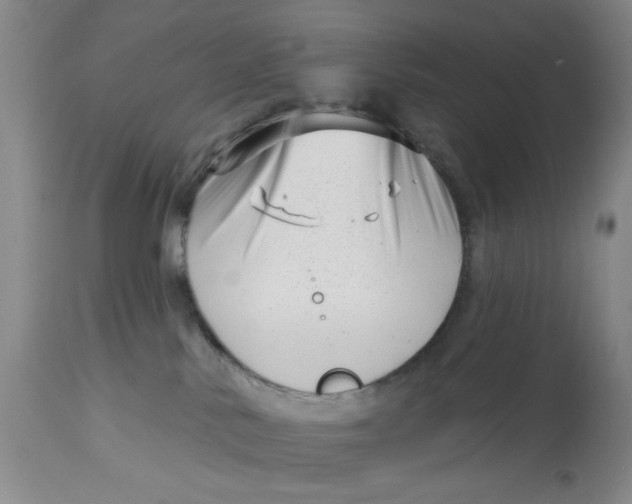 X0000113160042200909251404