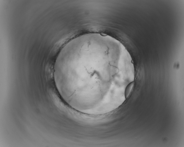 X0000113160043200909251404