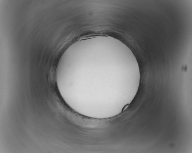 X0000113160044200909251404