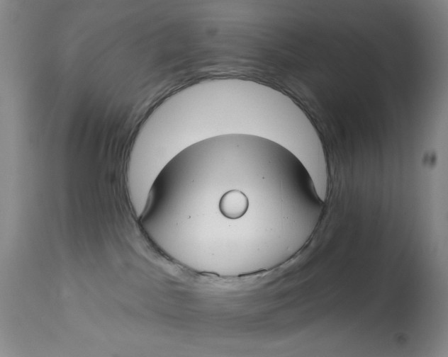 X0000113160045200909251404