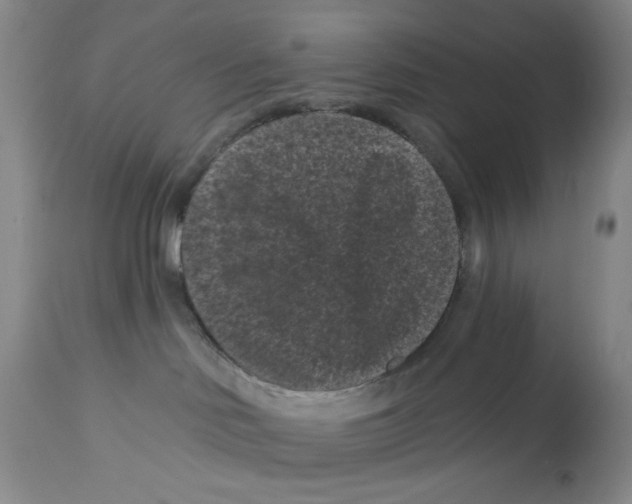 X0000113160046200909251404