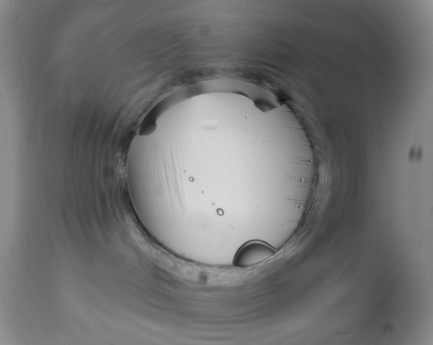 X0000113160048200909251404