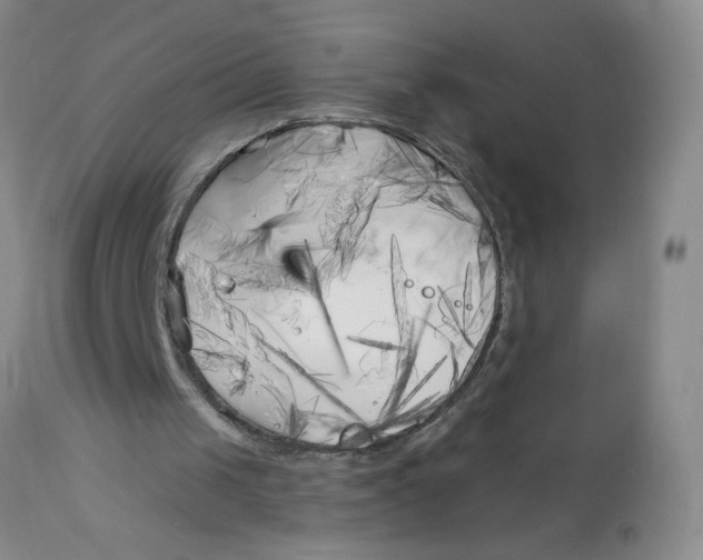 X0000113160049200909251403