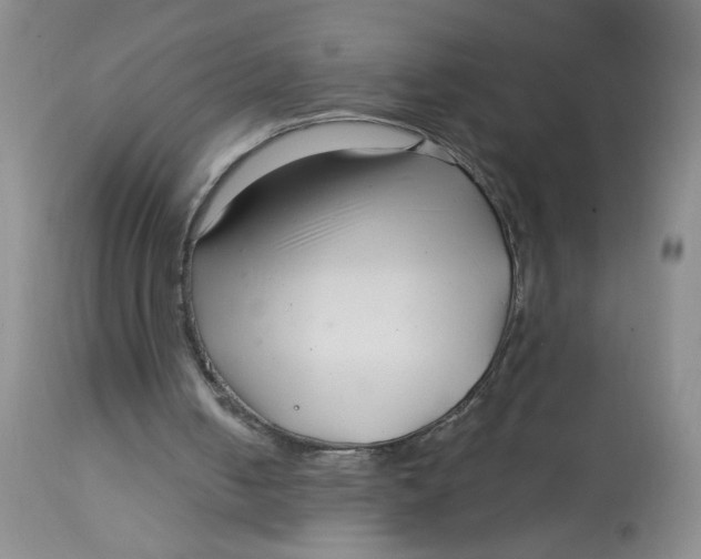 X0000113160050200909251403