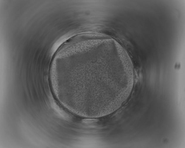 X0000113160051200909251403