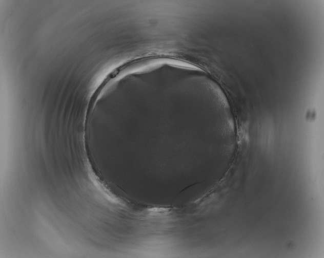 X0000113160052200909251403