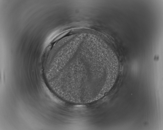 X0000113160053200909251403